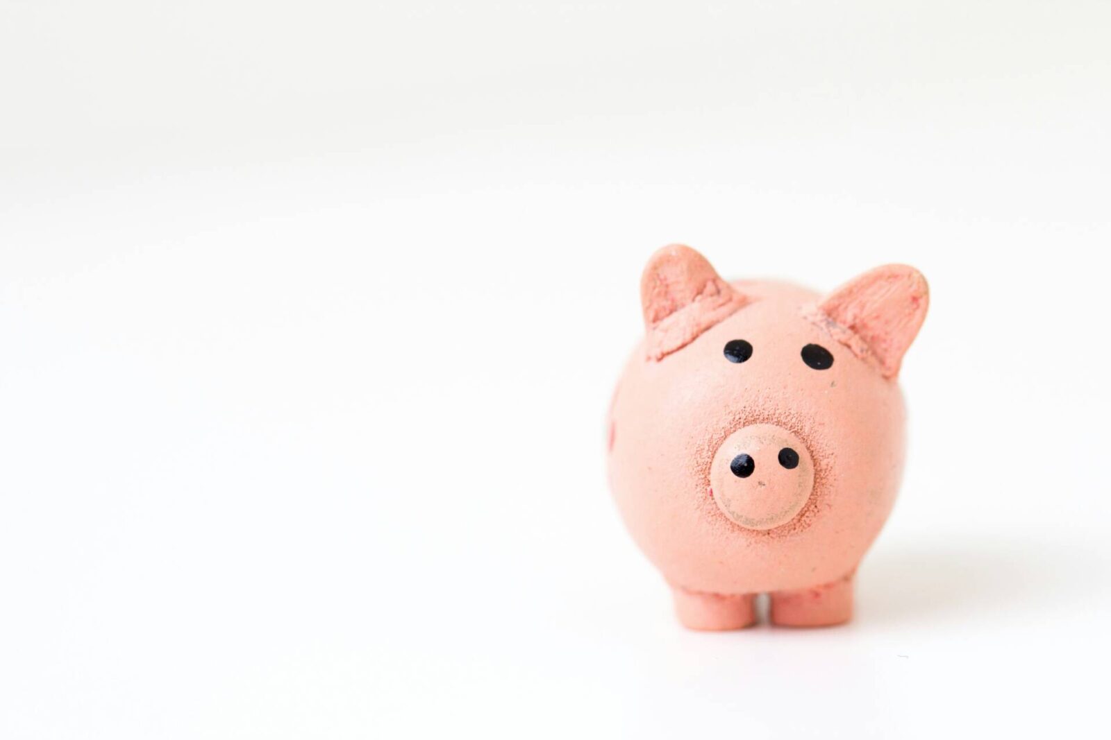 pink toy pig on white background